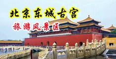黄色网站小穴流水中国北京-东城古宫旅游风景区